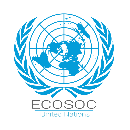Image result for ecosoc logo png"