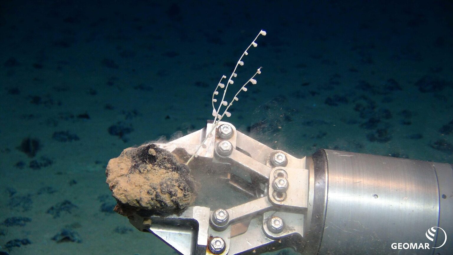 A Call for Ethical Leadership on Deep Sea Mining - Center for Earth Ethics